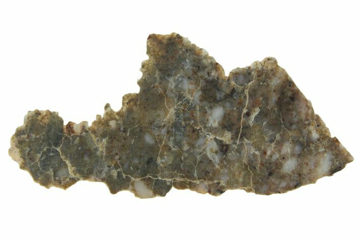 Lunar Meteorite ( g) Section - Laayoune #360203